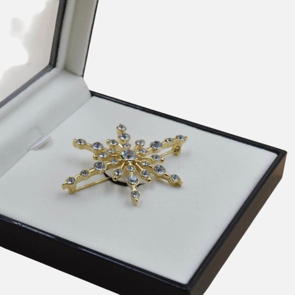 Starlight  Majestic Brooch Pin